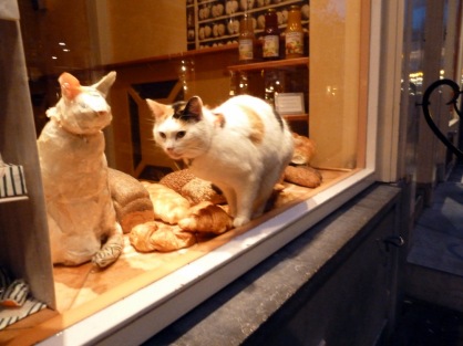 Cat eating croissant in window display