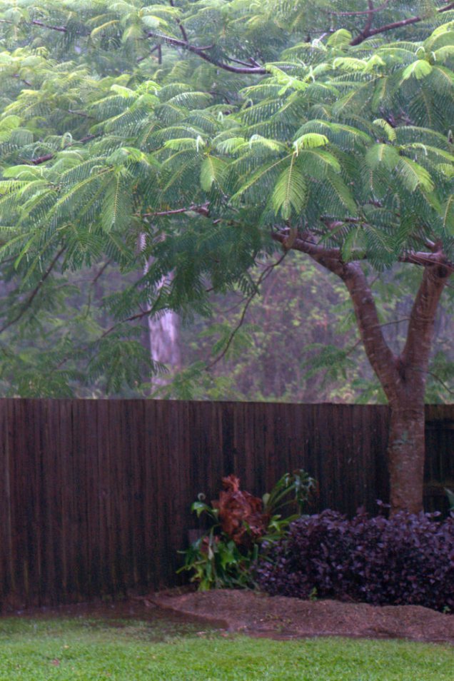 Rain falling in our backyard