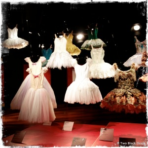Tutus and Ballerina costumes