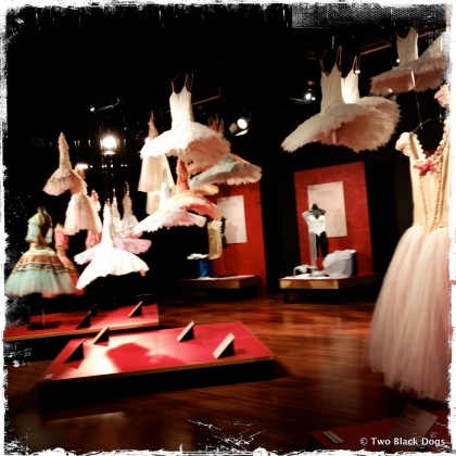 Tutus and Ballerina costumes