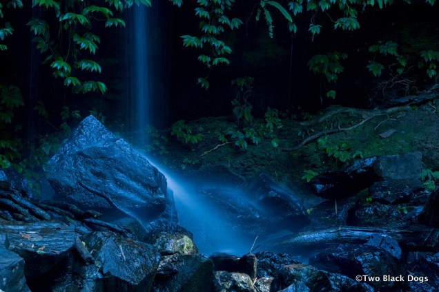 Waterfall, Mt Tamborine
