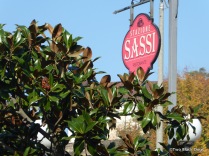 The Sassi Station