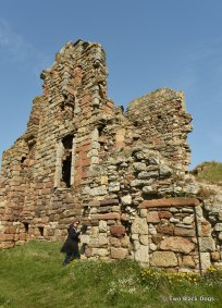 Newark Castle ruins