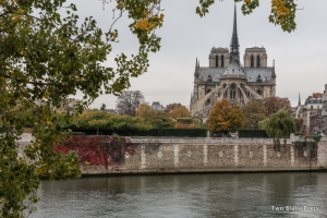 View of Notre Dame Cathedral from Ile St Louis