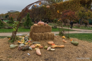 Autumn harvest display in Jardin des Plantes