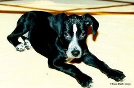 Our baby girl, April 2001