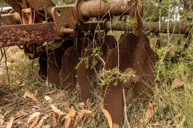 rusting plough in the bush
